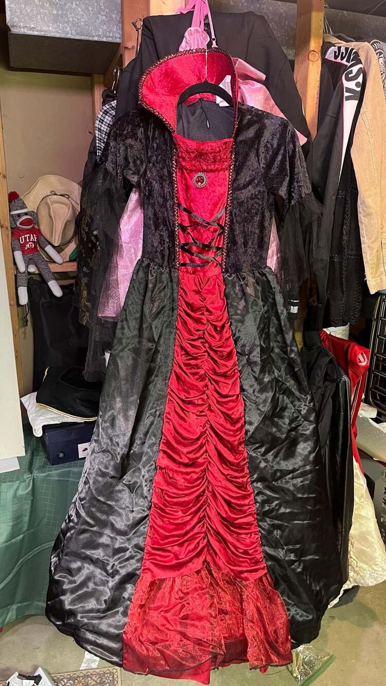 Spirit Halloween Victorian Vampiress Child Xl Red Black